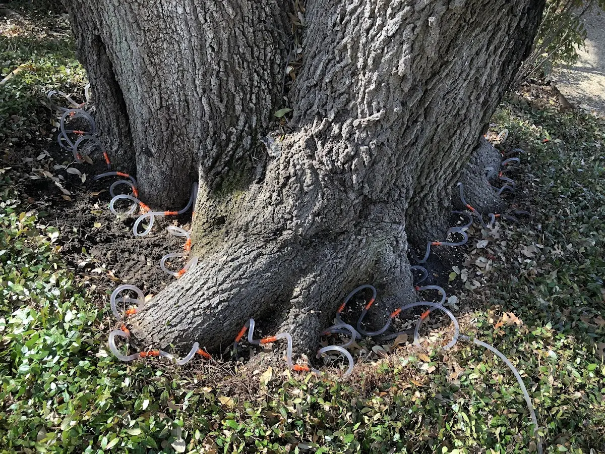 Detailed Shrub and Hedge Trimming job site in Center Point